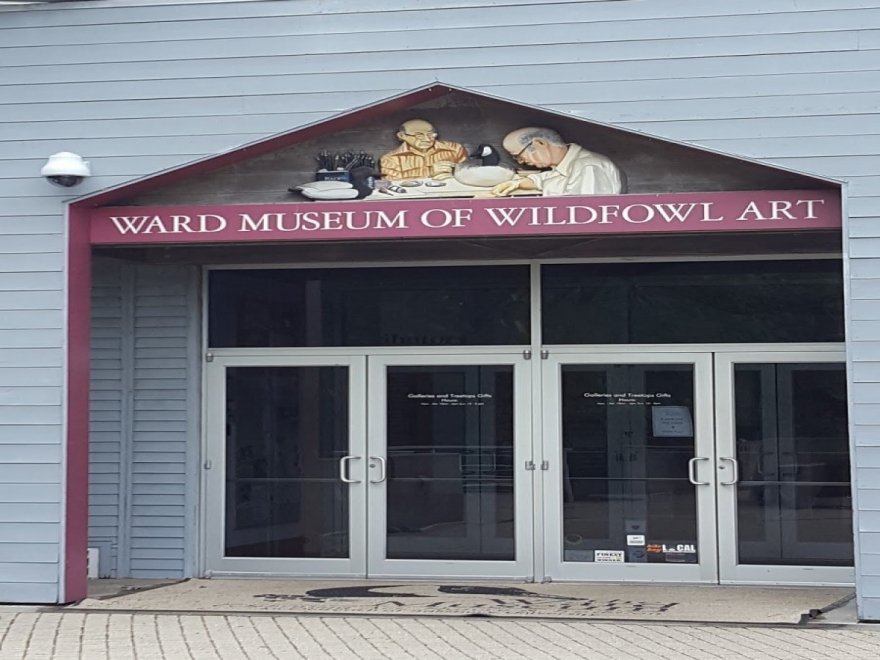 The Ward Museum of Wildfowl Art