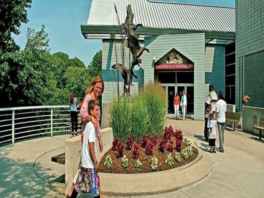 The Ward Museum of Wildfowl Art