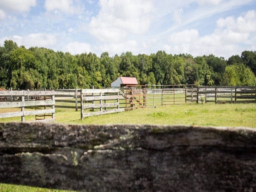 Holly Ridge Farm Equestrian Center