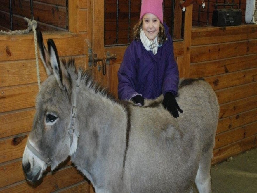 Holly Ridge Farm Equestrian Center