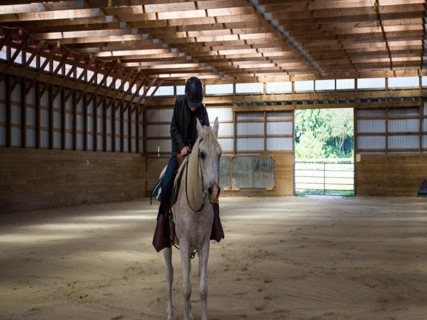 Holly Ridge Farm Equestrian Center