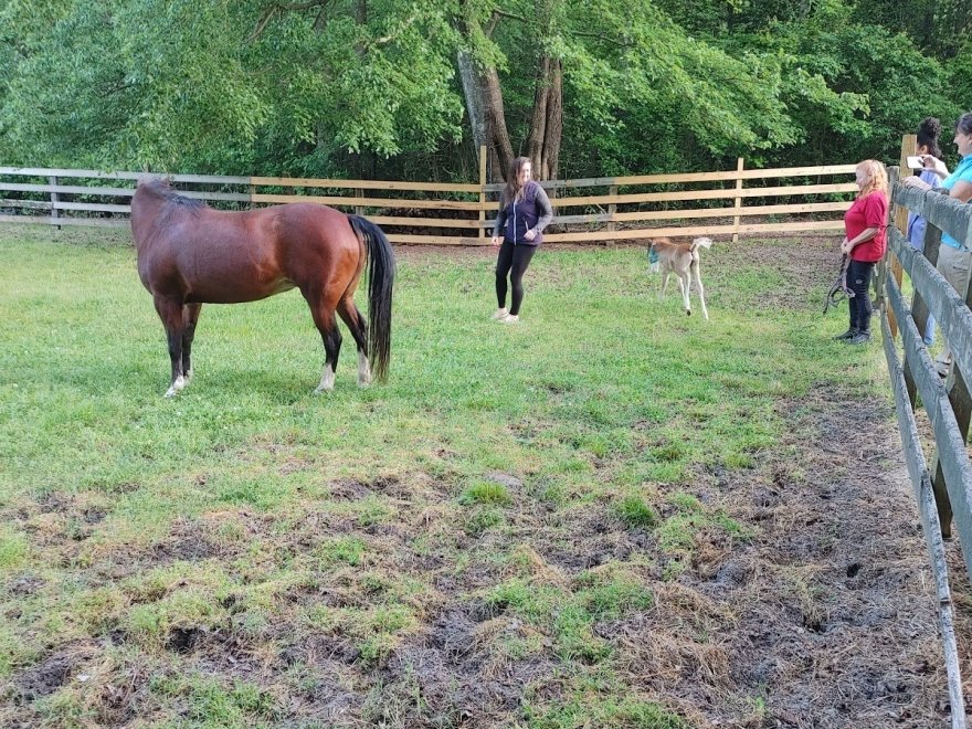 Holly Ridge Farm Equestrian Center