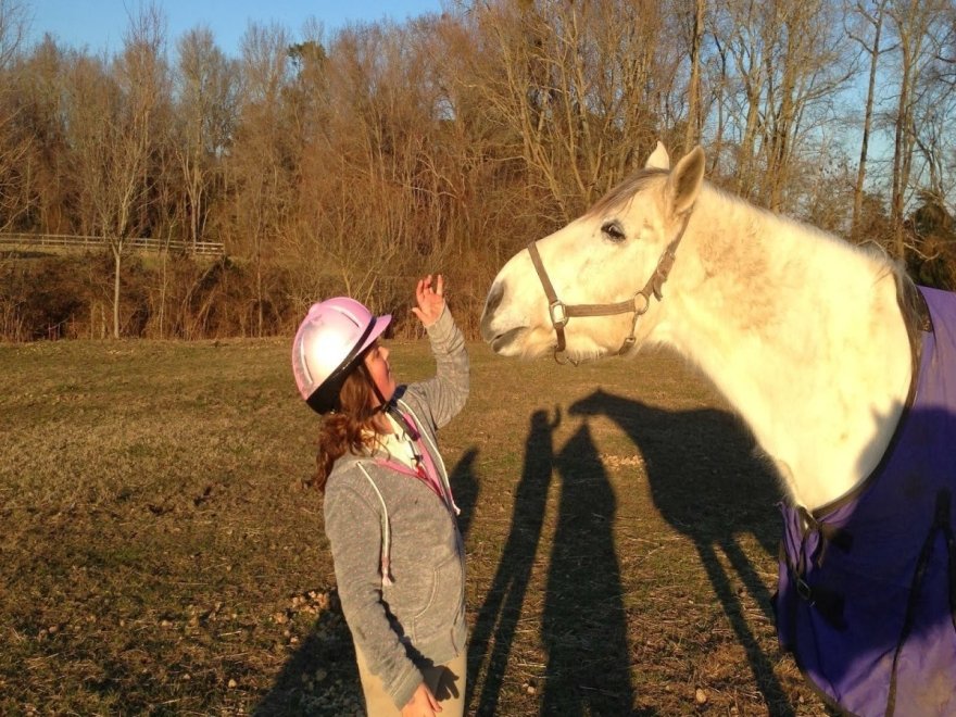 Holly Ridge Farm Equestrian Center