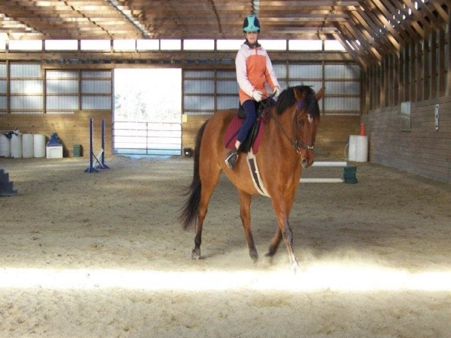 Holly Ridge Farm Equestrian Center