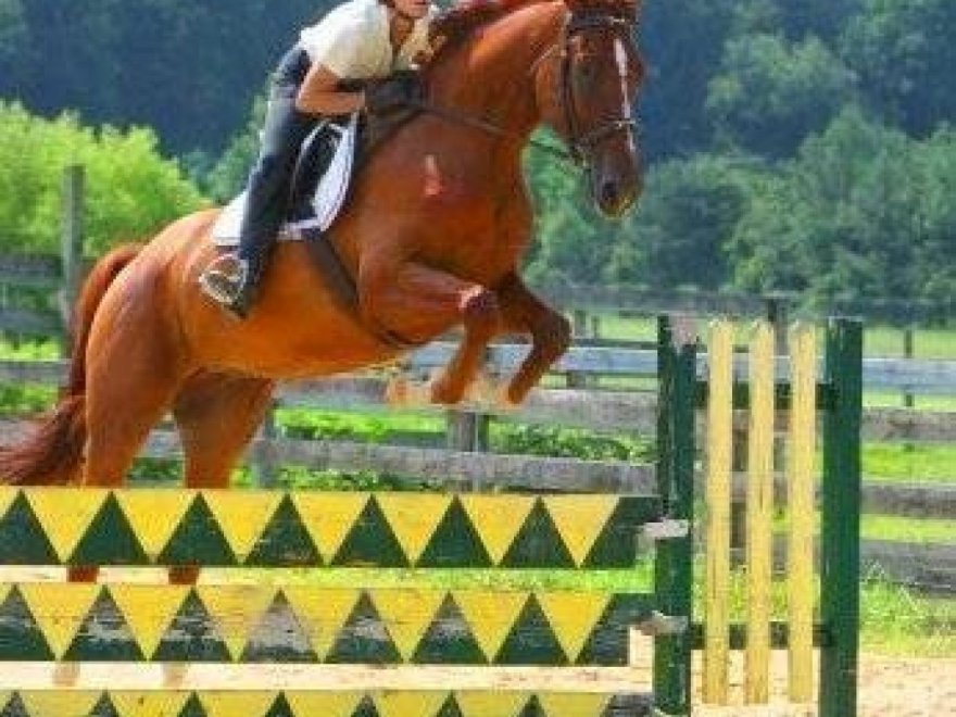 Holly Ridge Farm Equestrian Center