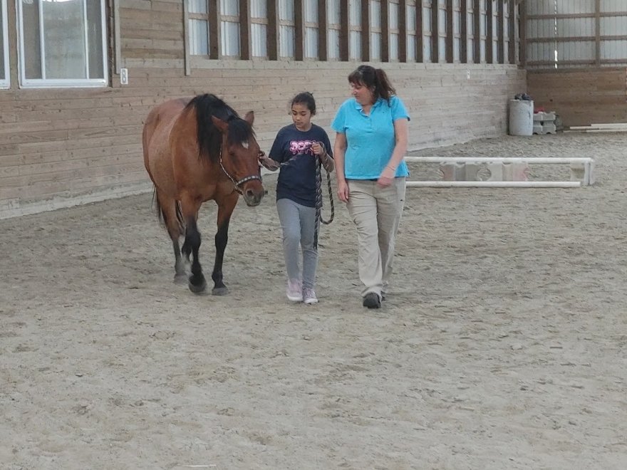 Holly Ridge Farm Equestrian Center