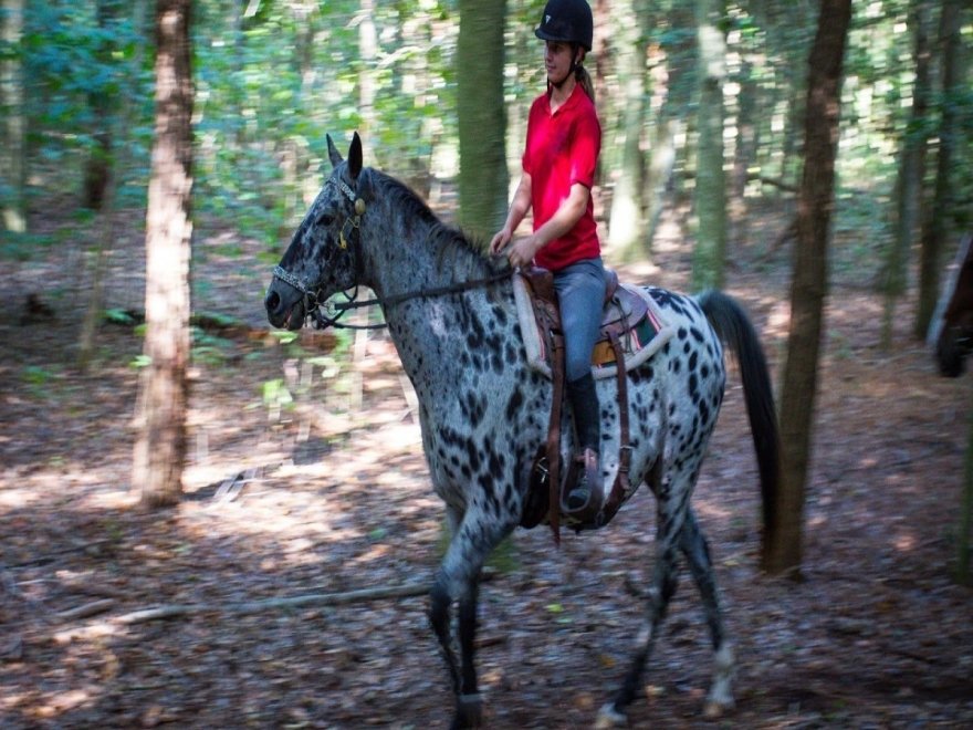 Holly Ridge Farm Equestrian Center