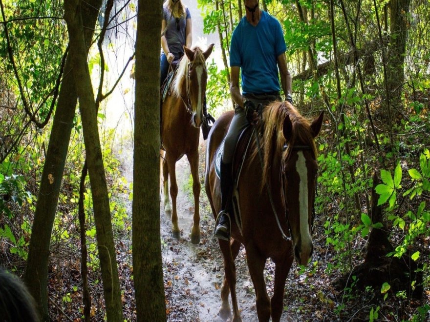 Holly Ridge Farm Equestrian Center