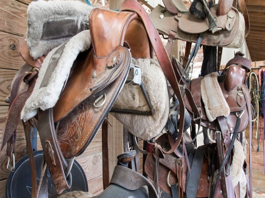 Holly Ridge Farm Equestrian Center