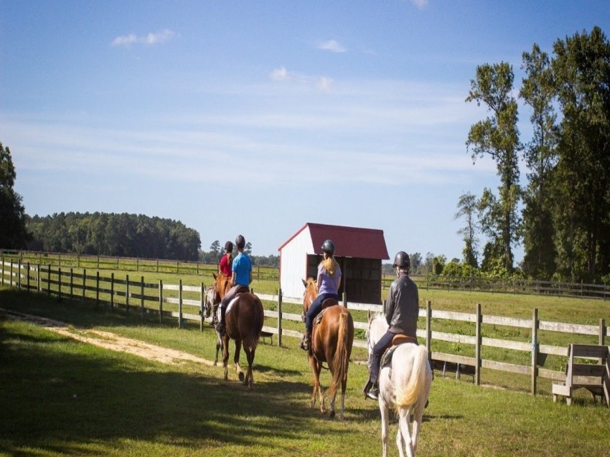 Holly Ridge Farm Equestrian Center