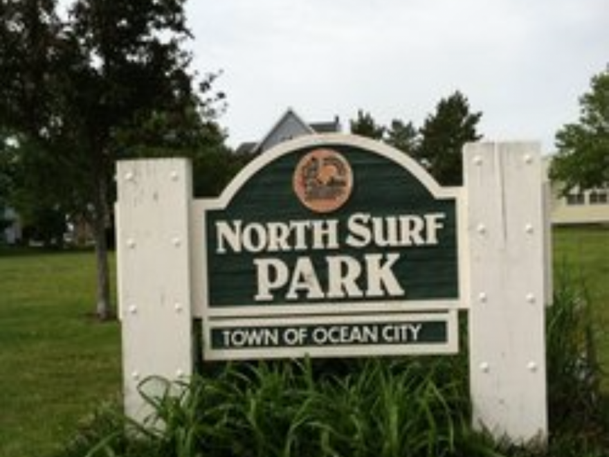 North Surf Park