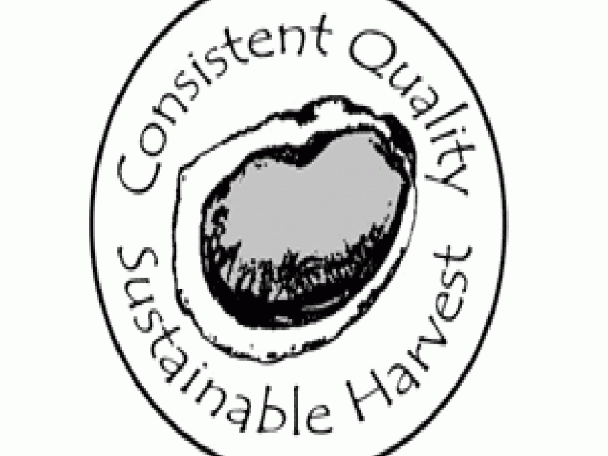 The Choptank Oyster Company 