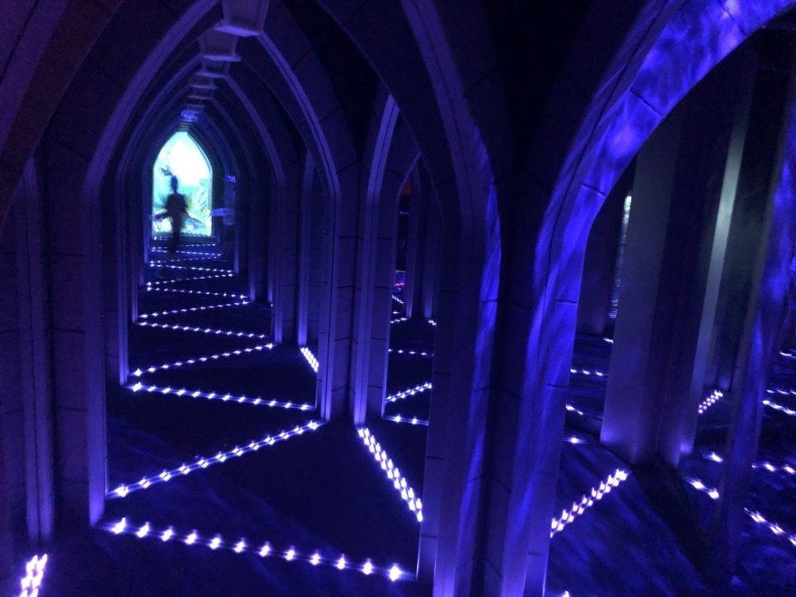 Ripleys Mirror Maze