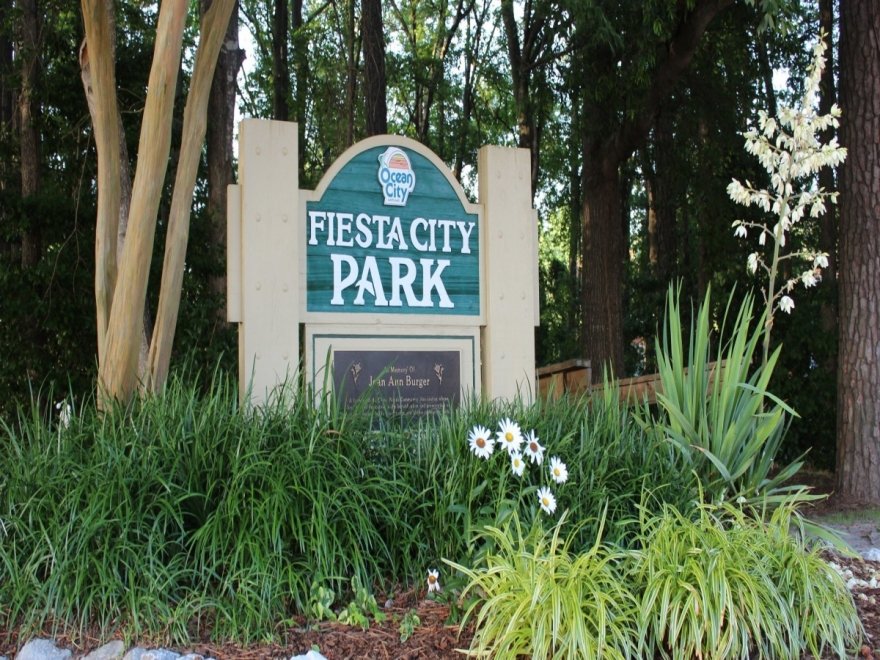 Caine Woods Community Association