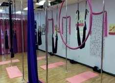 Pure Power Studio, Aerial Fitness & Dance--Ocean City, MD