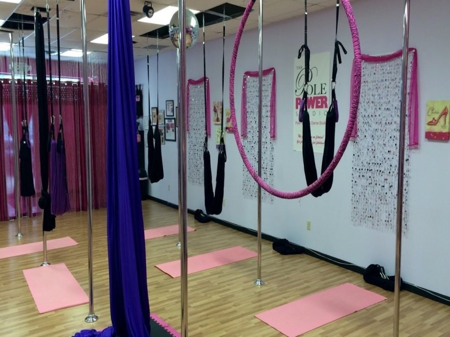 Pure Power Studio, Aerial Fitness & Dance--Ocean City, MD