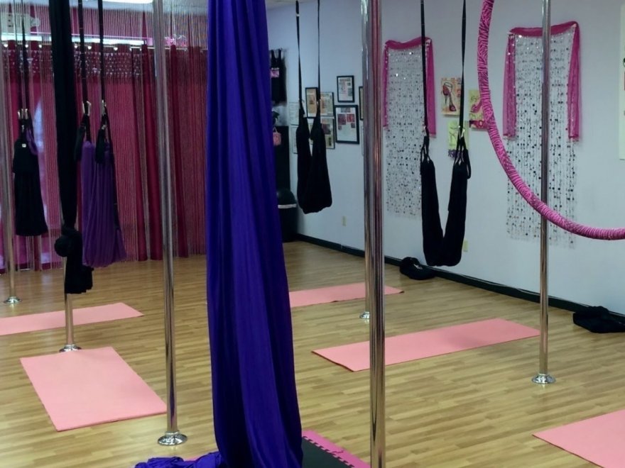 Pure Power Studio, Aerial Fitness & Dance--Ocean City, MD