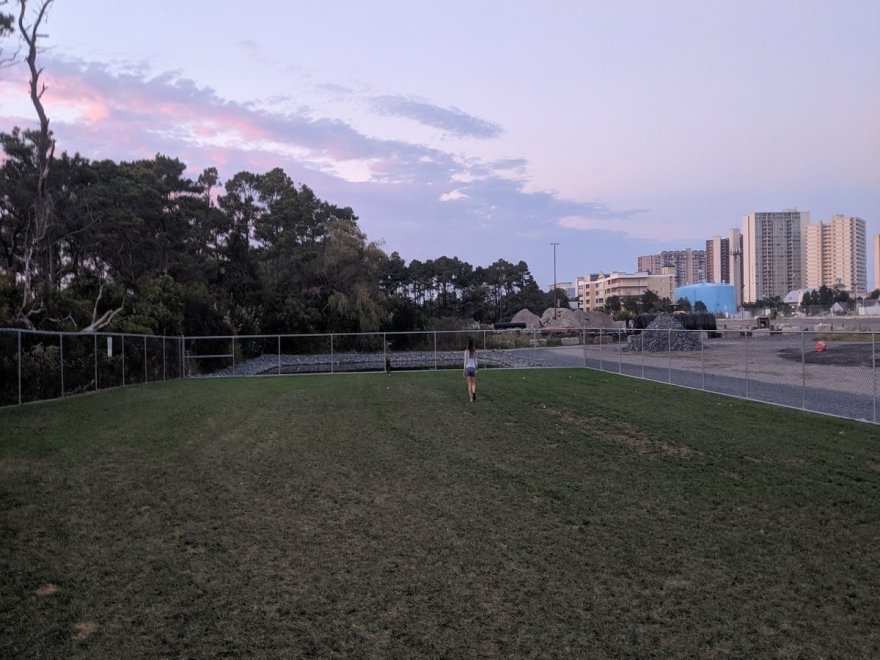 Dog Playground