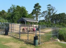 Dog Playground