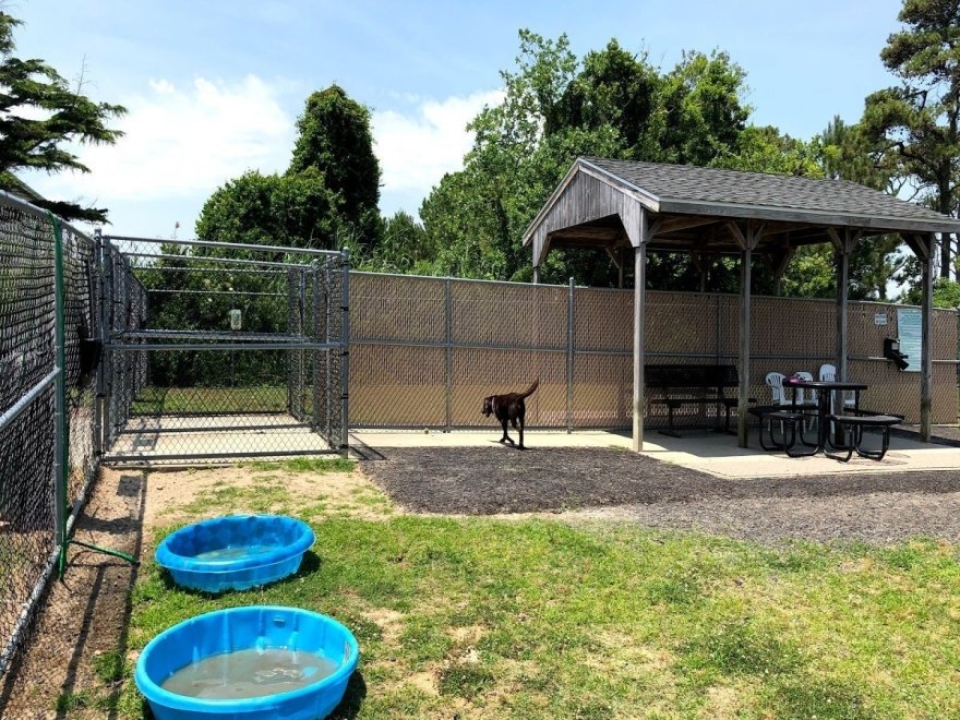Dog Playground