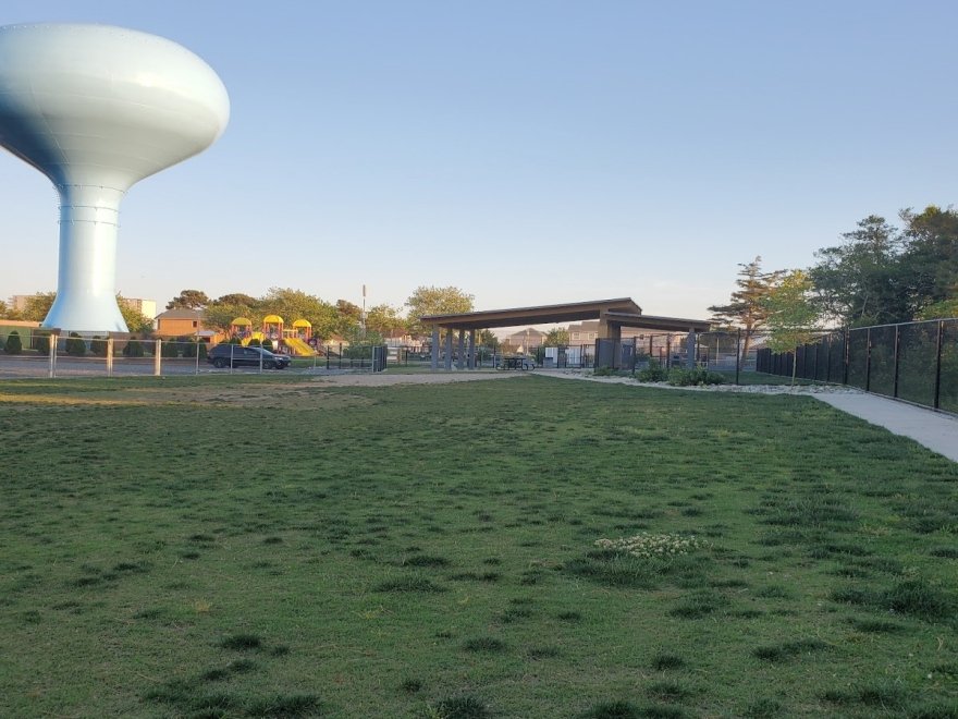 Dog Playground