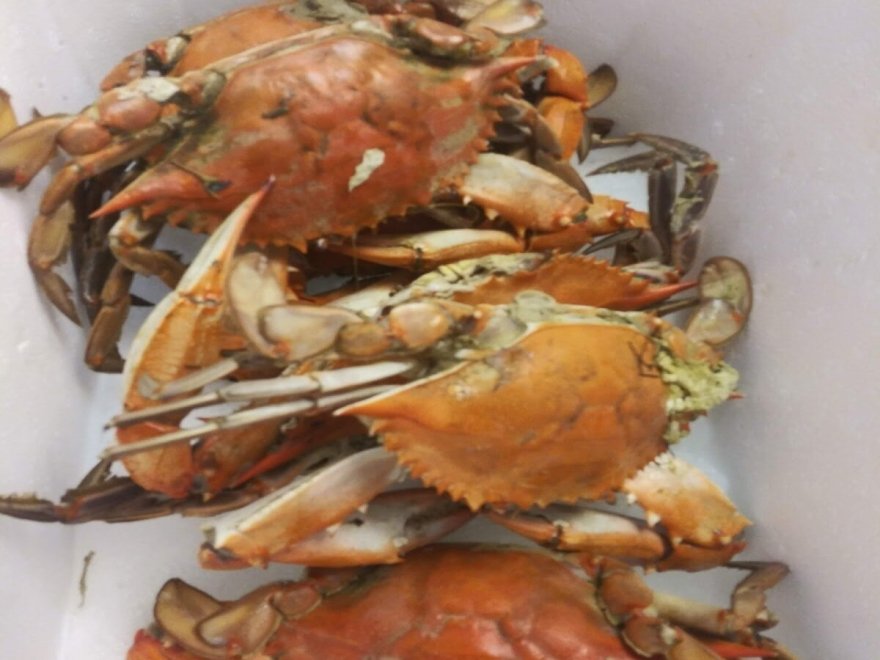 Victoria's Seafood & Crabs