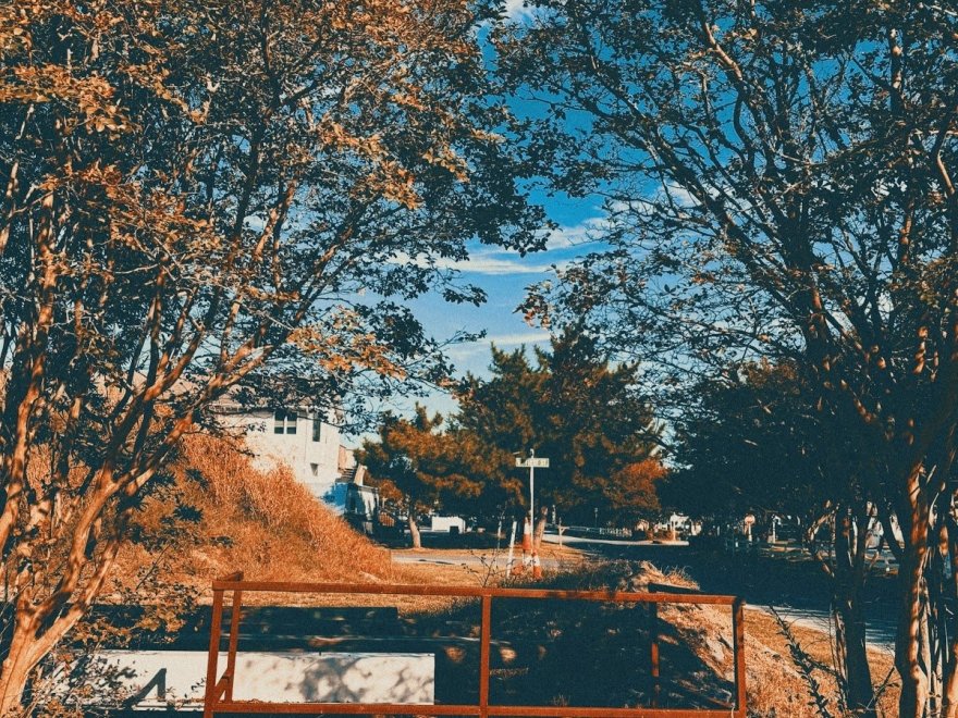 Ocean City Harbor