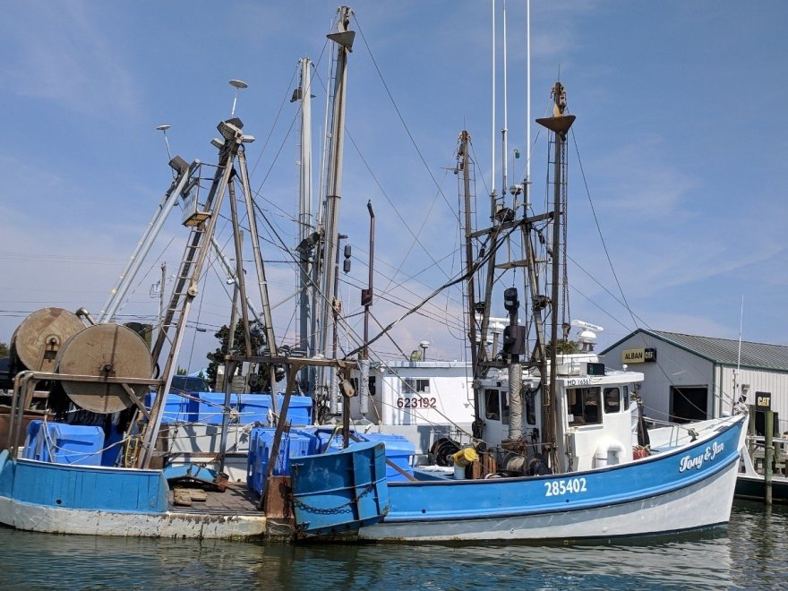 O.C. Fisherman's Marina