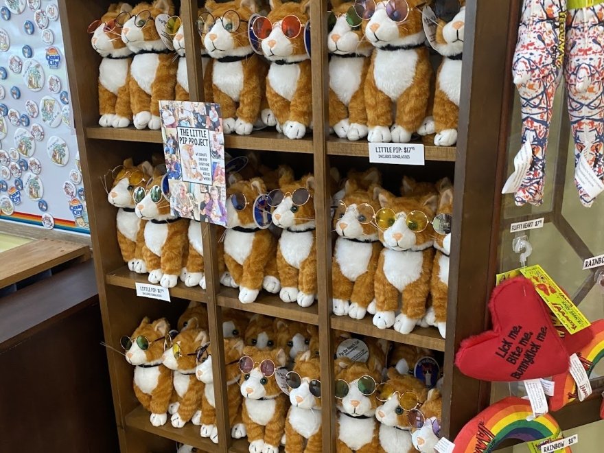 Pip the Beach Cat’s Kitten Emporium