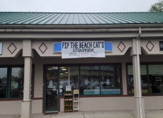 Pip the Beach Cat’s Kitten Emporium
