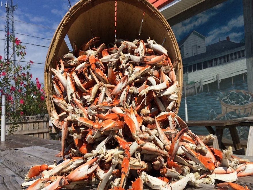 Ocean Odyssey Crab House & Seafood Restaurant