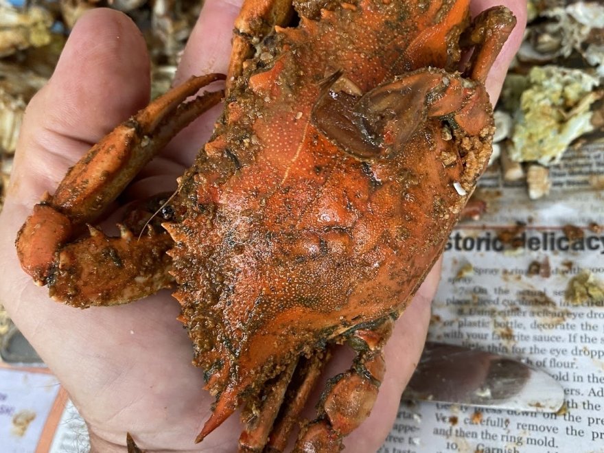 Bahama’s Crabshack