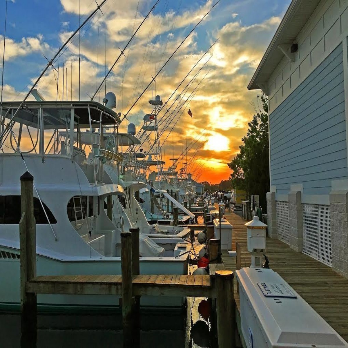 CENTURY 21 New Horizon