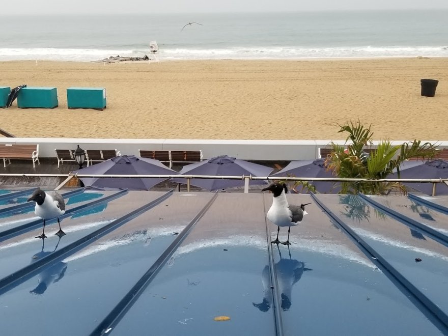Howard Johnson Plaza by Wyndham Ocean City Oceanfront