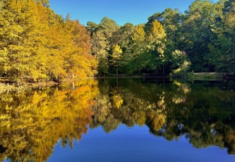 Fall Road Trip: A Scenic Journey Through Maryland’s Coast