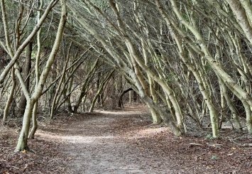 Family-Friendly Trails in Worcester County, Maryland